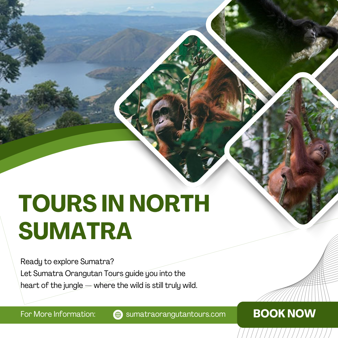 Tours in North Sumatra | Unforgettable Nature Adventures