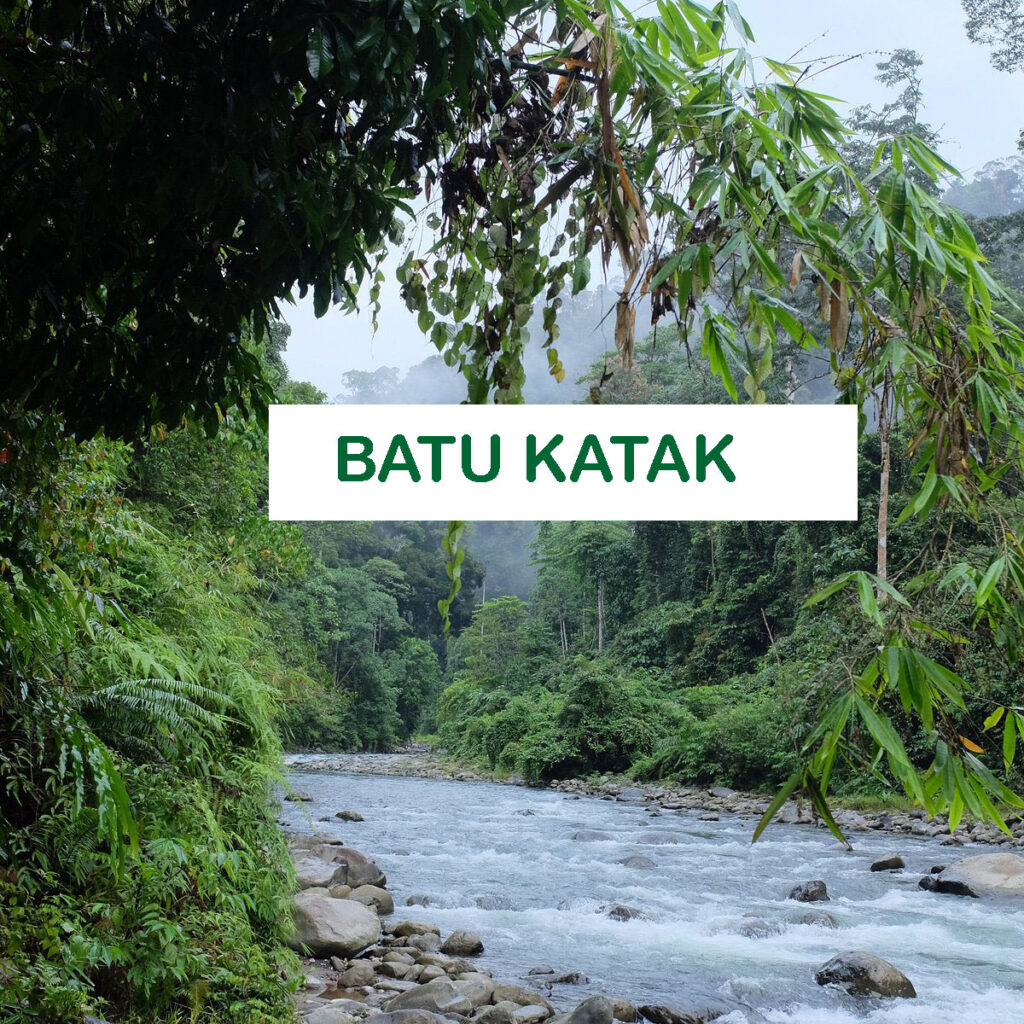 Batu Katak the Gunung Leuser