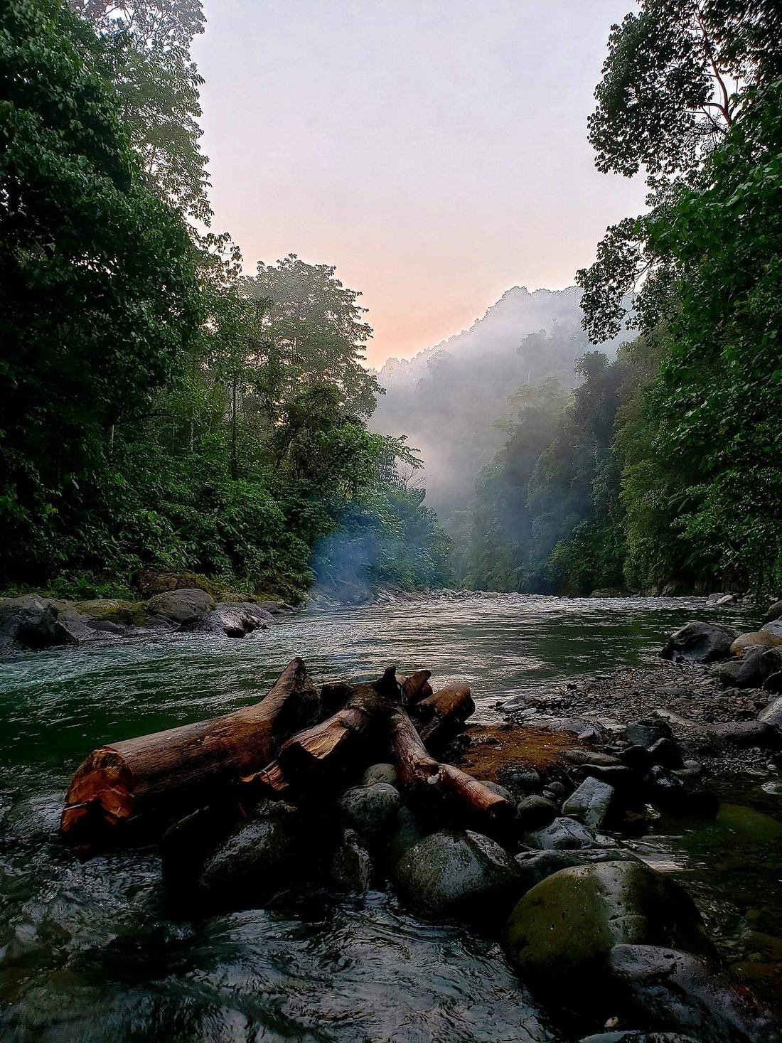 10 day fruit tree Sumatra orangutan trekking experience