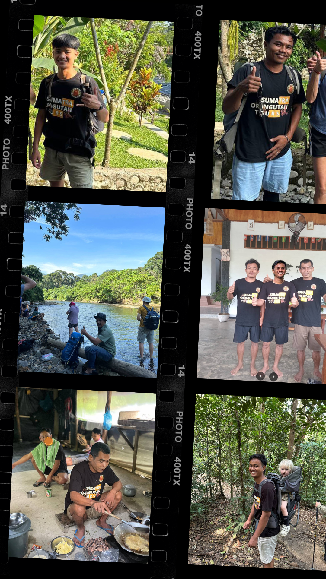 sumatra orangutan team