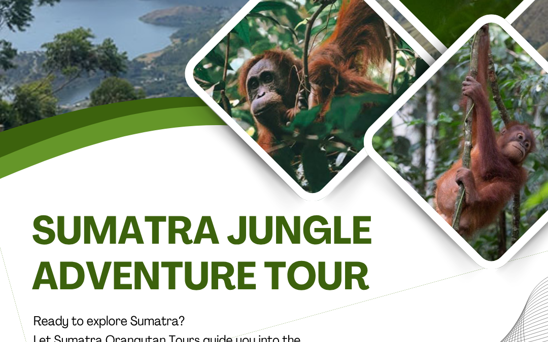 Sumatra Jungle Adventure Tour with Professional Local Guides