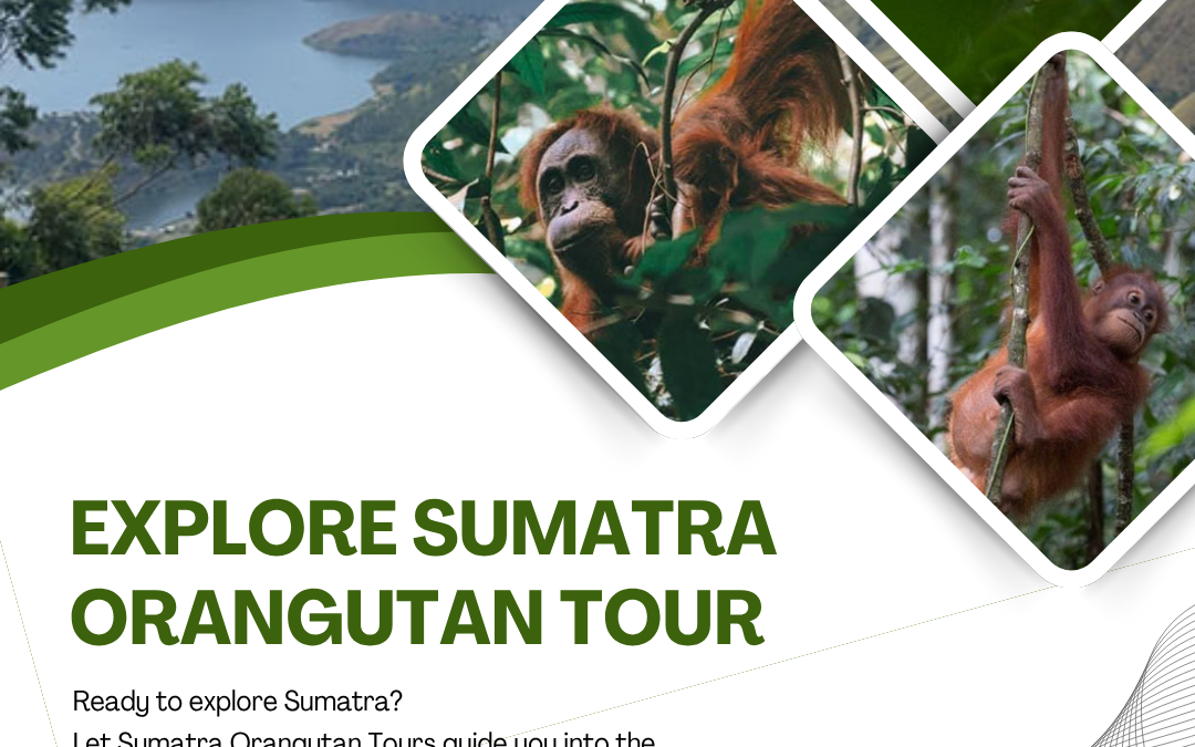 Explore Sumatra Orangutan Tour | Explore Tropical Forests