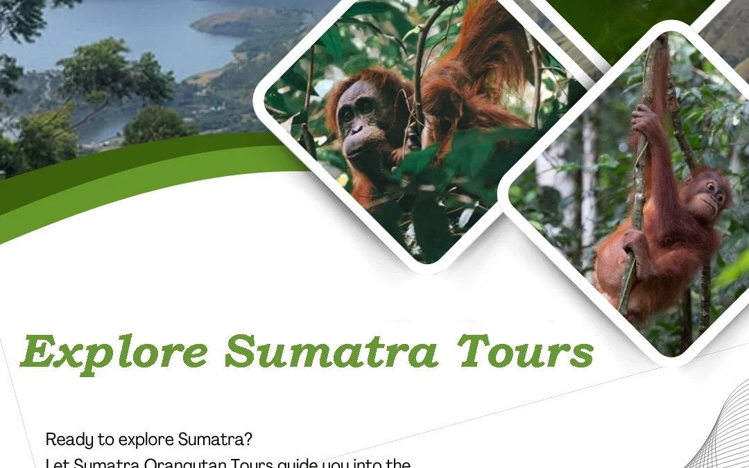 Explore Sumatra Tours | Discover Orangutans, Rainforests and the Best of North Sumatra